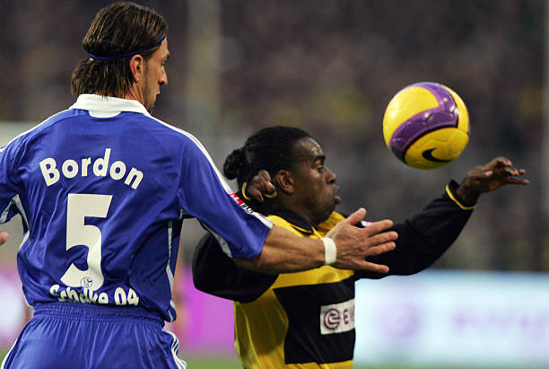 郑钦文需要 郑钦文需要