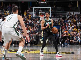 尼日利亚目 尼日利亚目